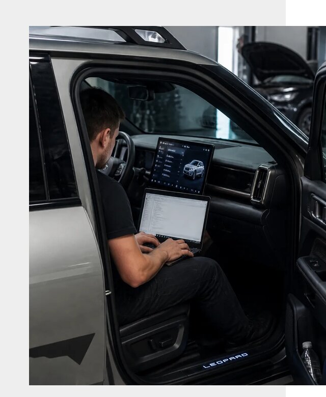 Русификация BYD Leopard 3 в Набережных Челнах по цене от 20214 р. | ФастМобиль-Нбр